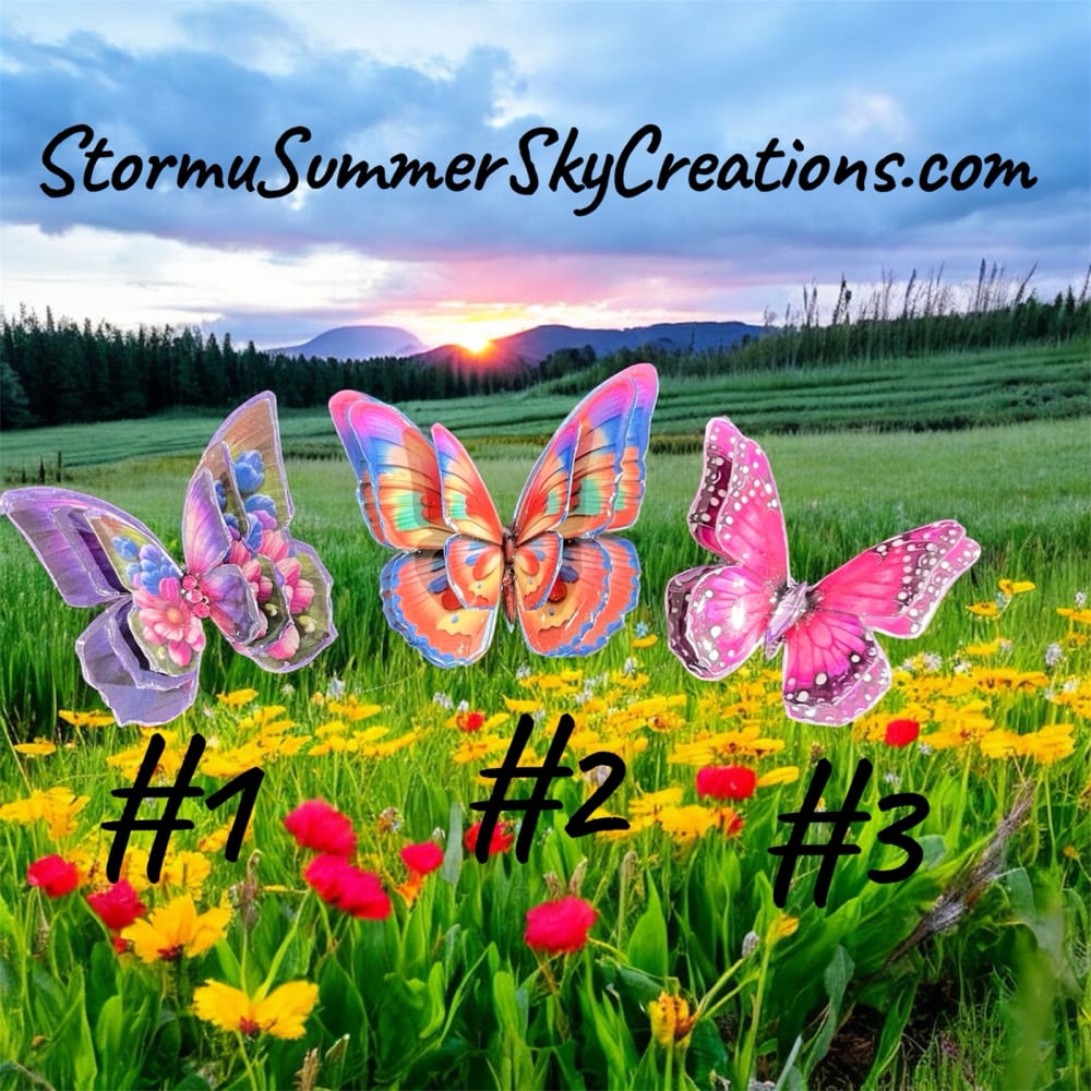 Image of Multiple Butterflies