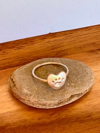 Image 4 of The Paw & the Moon 