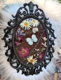 Image 5 of Cabbage White Antique Frame
