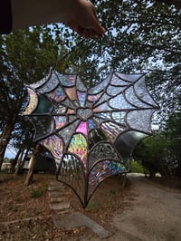 Image 2 of Spiderweb 🤍