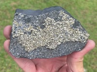Image 1 of Shungite With Cubic Pyrite #569