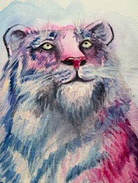 Image 4 of Tigre Rose 