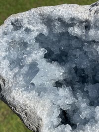 Image 16 of Celestite Geode #1801