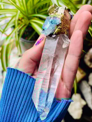 Image of Lemerium Record Code Regression