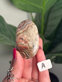 Image 1 of CHOOSE YOUR OWN MEXICAN LACE AGATE PALMSTONES 