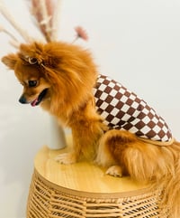 Image 2 of Designer Pet Shirt