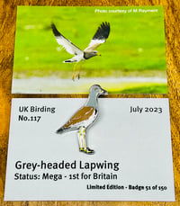 Image 1 of Grey-headed Lapwing - No.117 - UK Birding Pins - Enamel Pin Badge