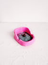 Litter Box