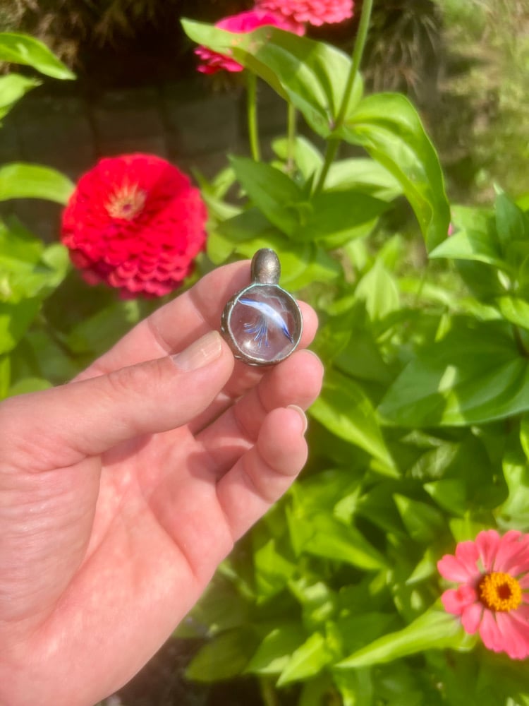 Image of Looking glass electroformed jellyfish pendant