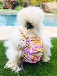 Image 1 of Flower Chicken, Duck & Bird Diaper / Nappy / Outfit