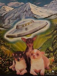 Image 2 of Chihuahua bundle 