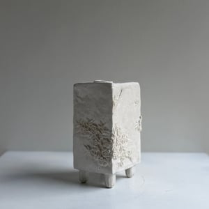 Image of Tea tree upright box vase (4233)