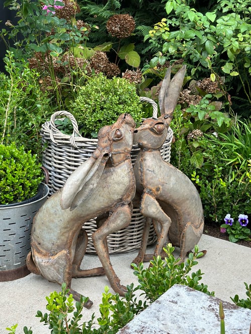 Image of Garden Hare Pair