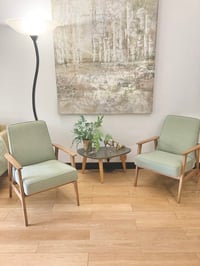 Image 5 of Fauteuils FOX vert clair