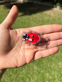 Image 1 of Lady Bug