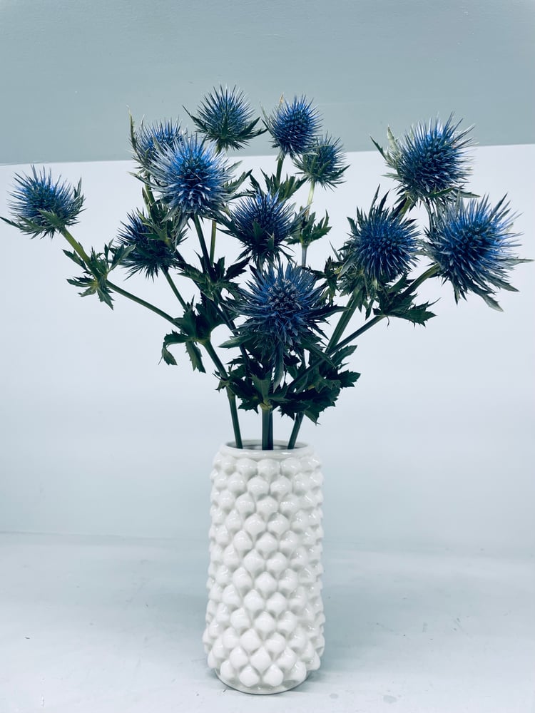 Image of Cilindro Piña Sicilia
