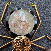 Image 2 of Amapnid (c, 3.5 inches) 