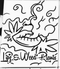 Image 6 of Trippy Random Thingz