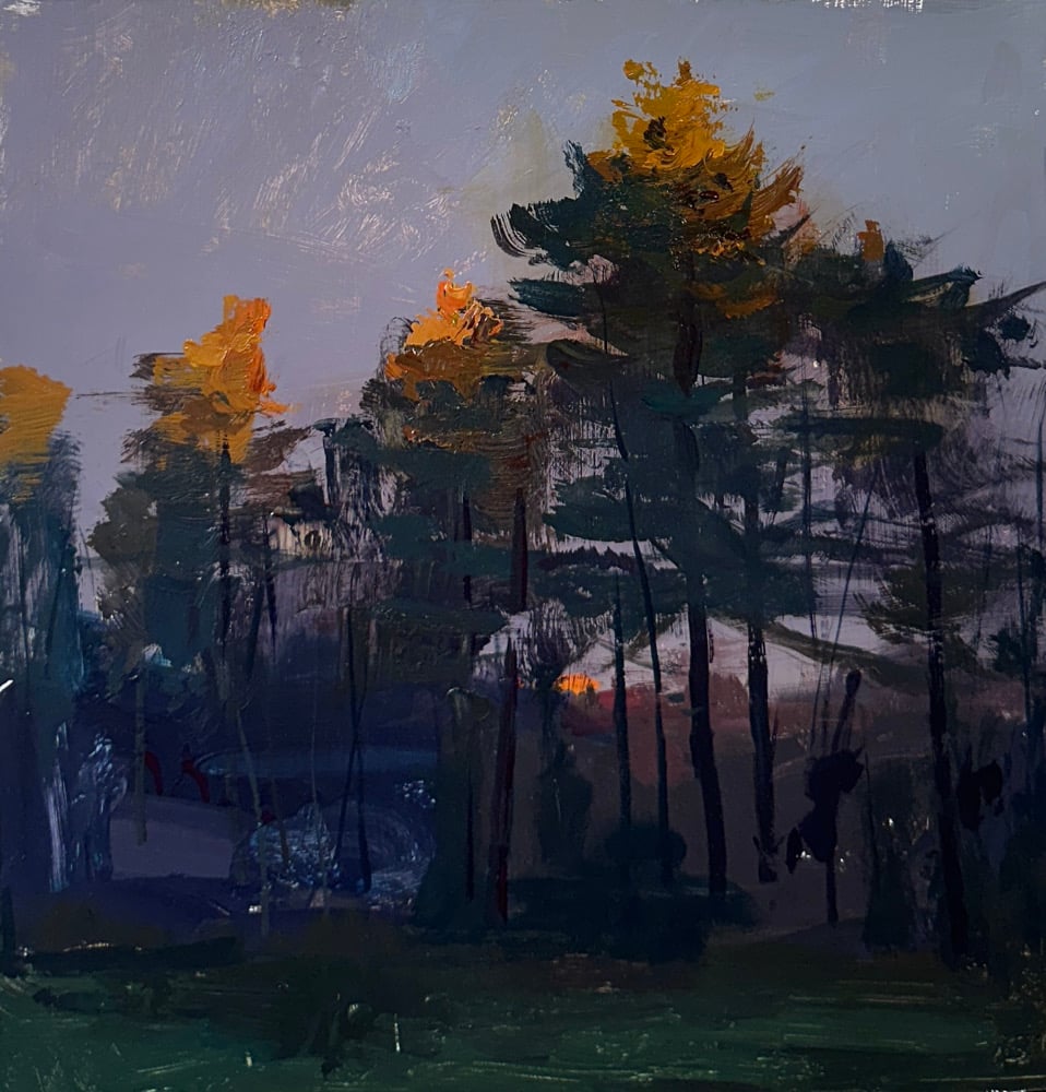 Image of White Pines /Golden hour