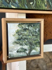 Image 2 of Prince by Monique Correy