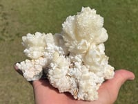 Image 15 of White Calcite Crystal Reef Formation Specimen #1240
