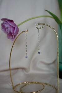 Image 1 of Tanzanite Starlet Earrings