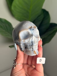 Image 4 of CHOOSE YOUR OWN SEA JASPER SKULL -MADAGASCAR-