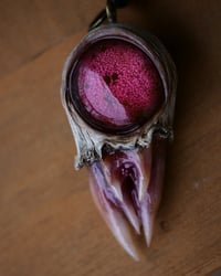 Image 20 of Crimson Oracle Snaggletooth Pendant OOAK
