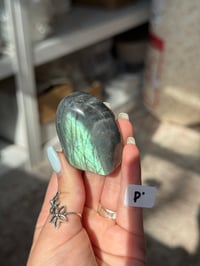 Image 16 of CHOOSE YOUR OWN MINI LABRADORITE FREEFORM -MADAGASCAR-