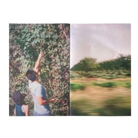 Image 4 of Wonderland