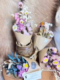 Image 5 of Assorted Small Dry Flower Poseys