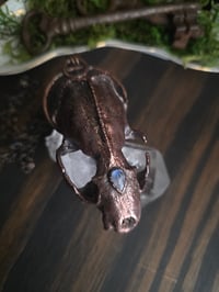 Image 1 of Mink Skull with Moonstone
