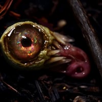 Image 11 of Opal Snaggletooth Pendant 2.5”