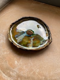 Image 2 of Grounding dish 41