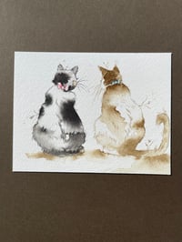 Image 2 of Gossip - Kitty Cat Study