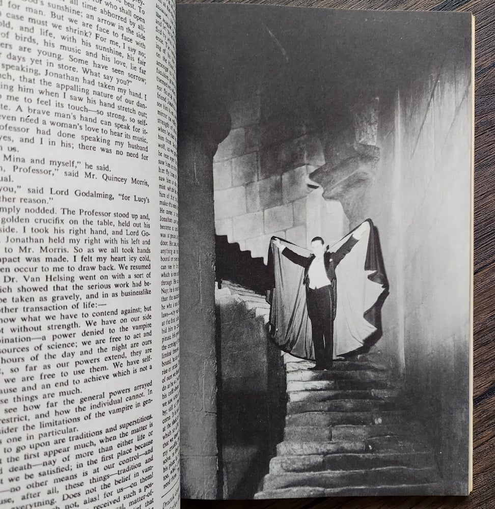 The Illustrated Dracula, by Bram Stoker