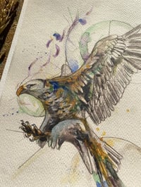 Image 4 of Print Aigle 