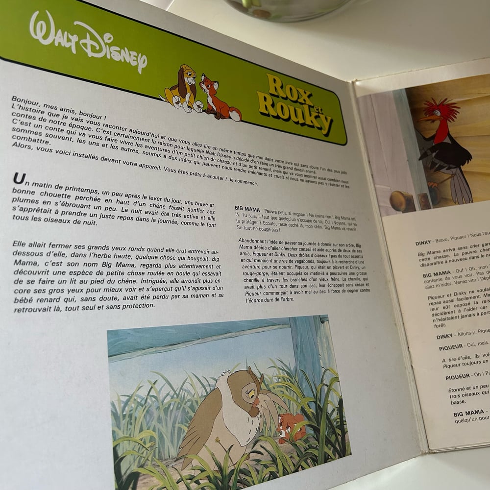 Image of 33T LIVRE DISNEY (ROX ET ROUKY)