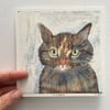 Small square art print -Tabby cat (custom option available) 