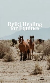 Image 1 of Reiki for Equines