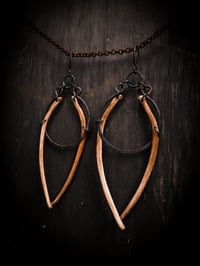 Image 1 of gemini hoops 2