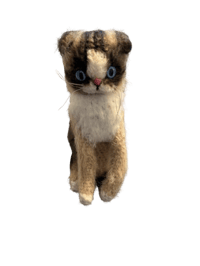 Dasher Crochet Plushie Raffle