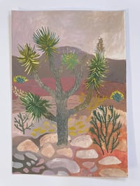 Image 1 of Joshua Tree and Cholla study