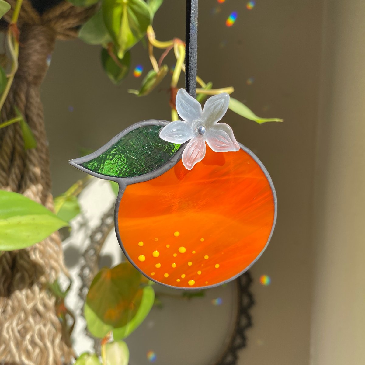 Image of Oranges with Bloom