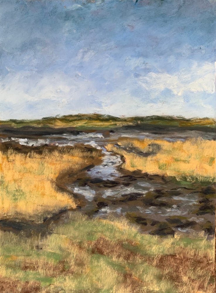 Image of Low tide, Tullynakill