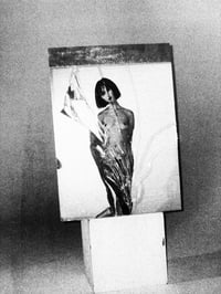 Image 4 of Nobuyoshi Araki “Hokeitei Nichijo"