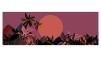 Image 1 of DAWN
