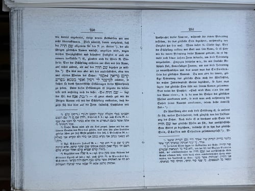 Image of Original samizdat - Joel: Religionsphilosophie des Sohar