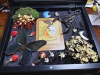 Image 2 of Memento Mori