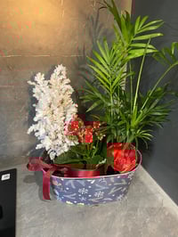 Image 2 of Christmas planter 